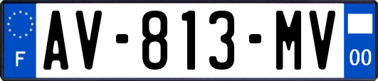 AV-813-MV
