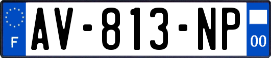 AV-813-NP