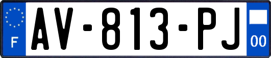 AV-813-PJ
