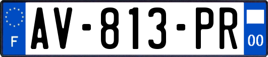 AV-813-PR