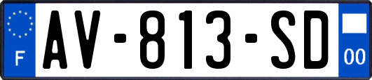 AV-813-SD