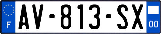 AV-813-SX