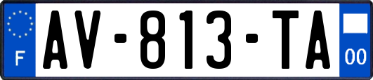 AV-813-TA