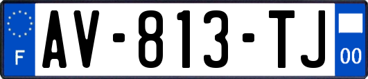 AV-813-TJ
