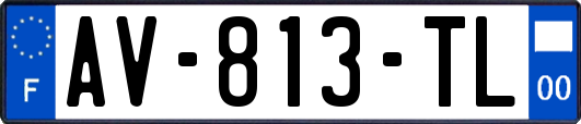 AV-813-TL