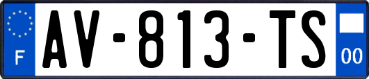 AV-813-TS