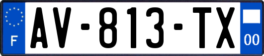 AV-813-TX