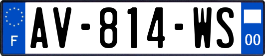 AV-814-WS
