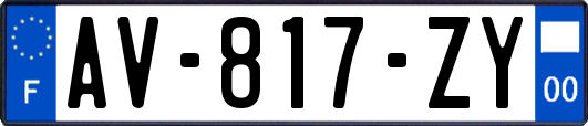 AV-817-ZY