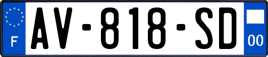AV-818-SD