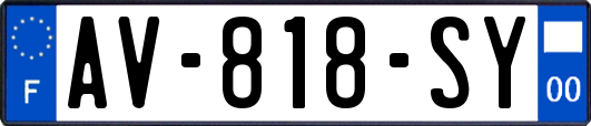 AV-818-SY