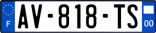 AV-818-TS