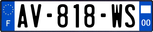 AV-818-WS