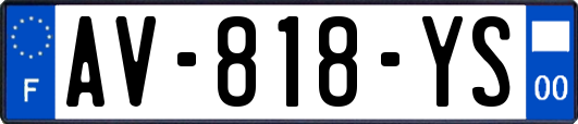 AV-818-YS