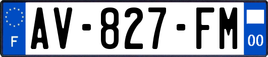 AV-827-FM