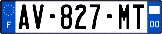 AV-827-MT