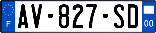 AV-827-SD