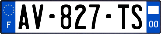 AV-827-TS
