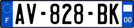 AV-828-BK