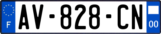 AV-828-CN
