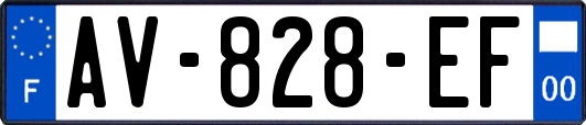AV-828-EF