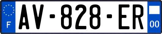 AV-828-ER