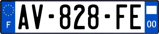 AV-828-FE