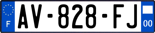 AV-828-FJ