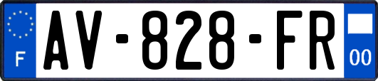 AV-828-FR