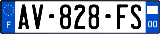 AV-828-FS