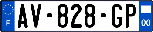 AV-828-GP