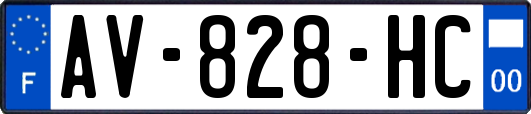 AV-828-HC