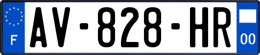 AV-828-HR