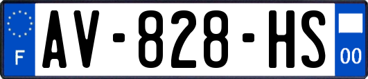 AV-828-HS