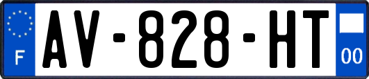 AV-828-HT