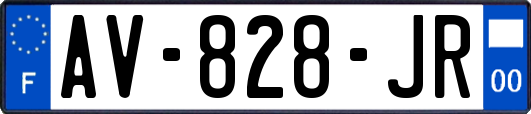 AV-828-JR