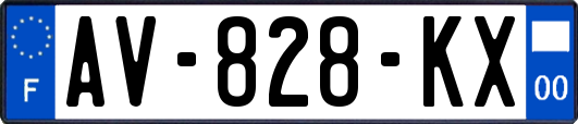 AV-828-KX