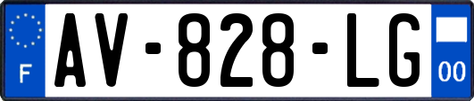 AV-828-LG