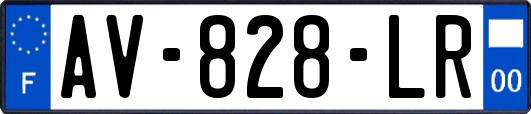 AV-828-LR