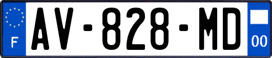 AV-828-MD