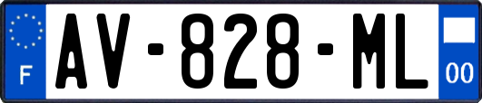 AV-828-ML