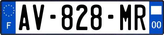AV-828-MR