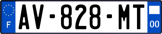 AV-828-MT
