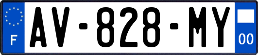 AV-828-MY