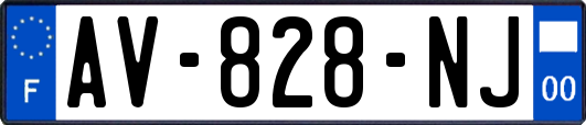 AV-828-NJ