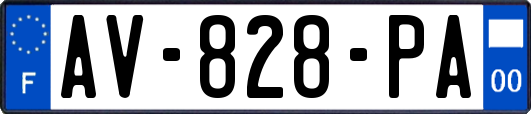 AV-828-PA