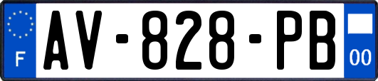 AV-828-PB