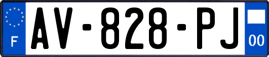 AV-828-PJ