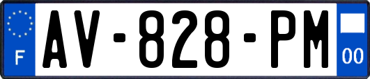 AV-828-PM