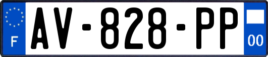 AV-828-PP